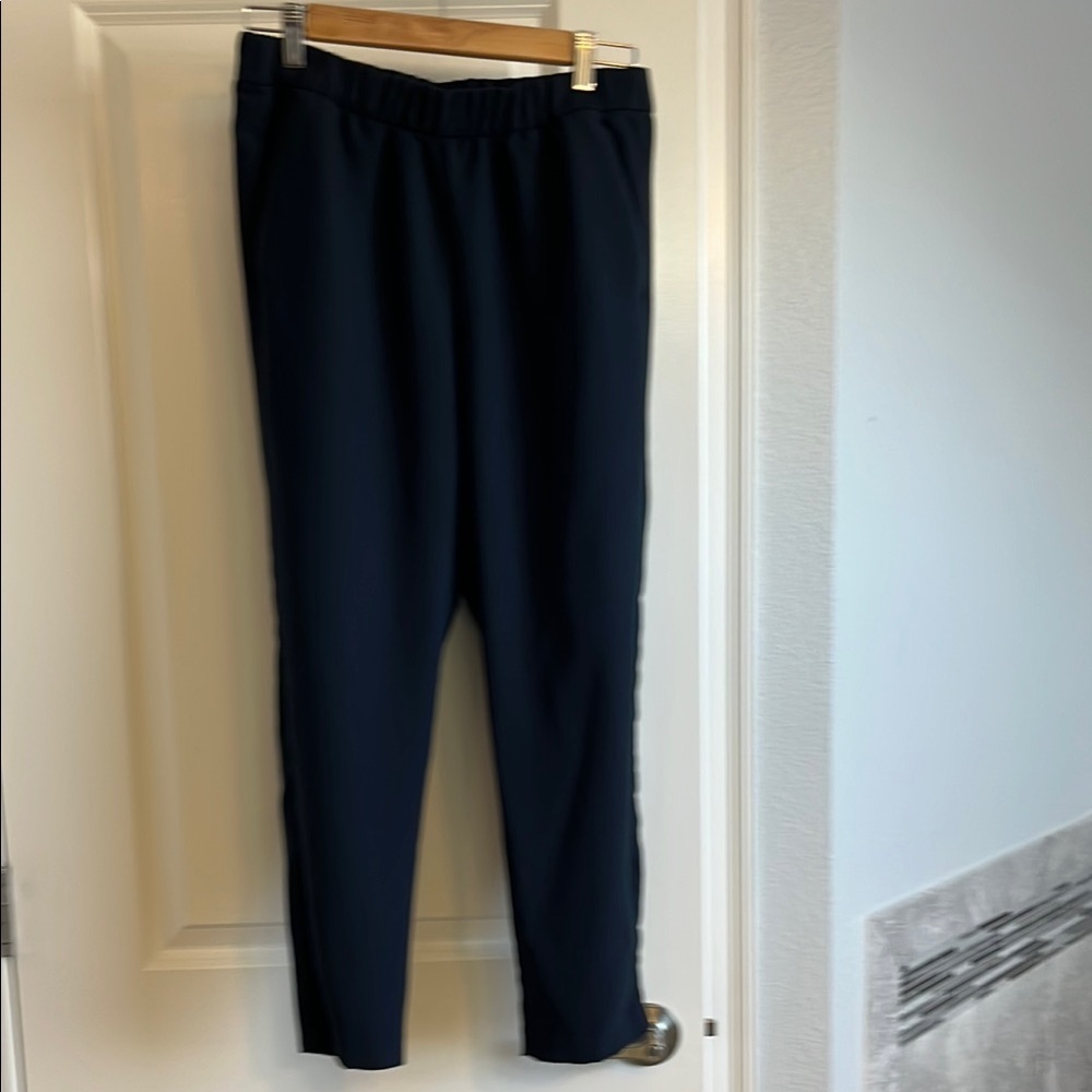 Banana Republic navy Elastic Waist Trousers